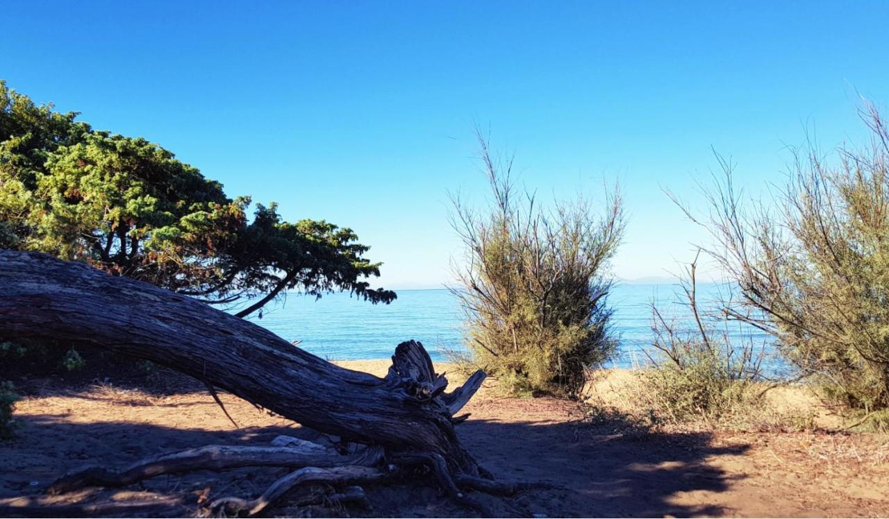 Appartamento Claudi A San Vincenzo Luaran gambar