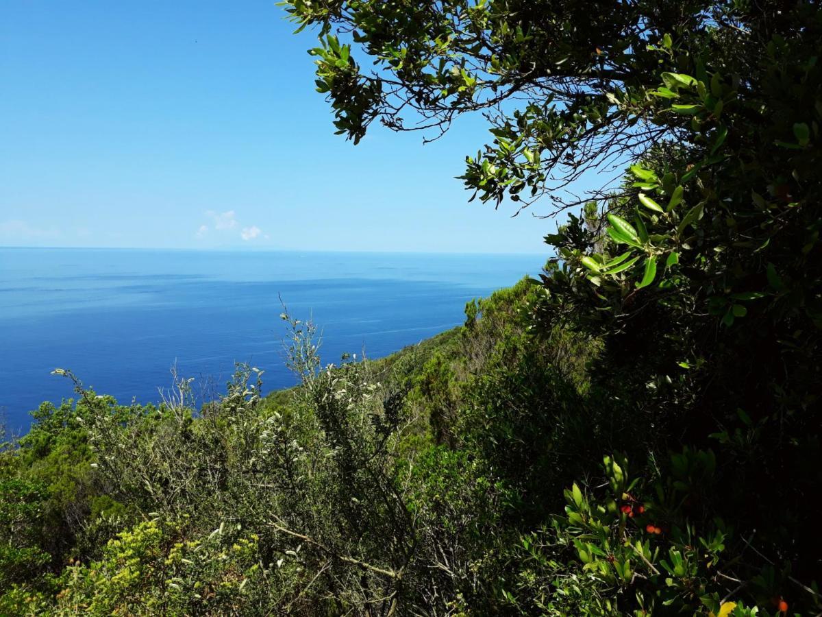 Appartamento Claudi A San Vincenzo Luaran gambar